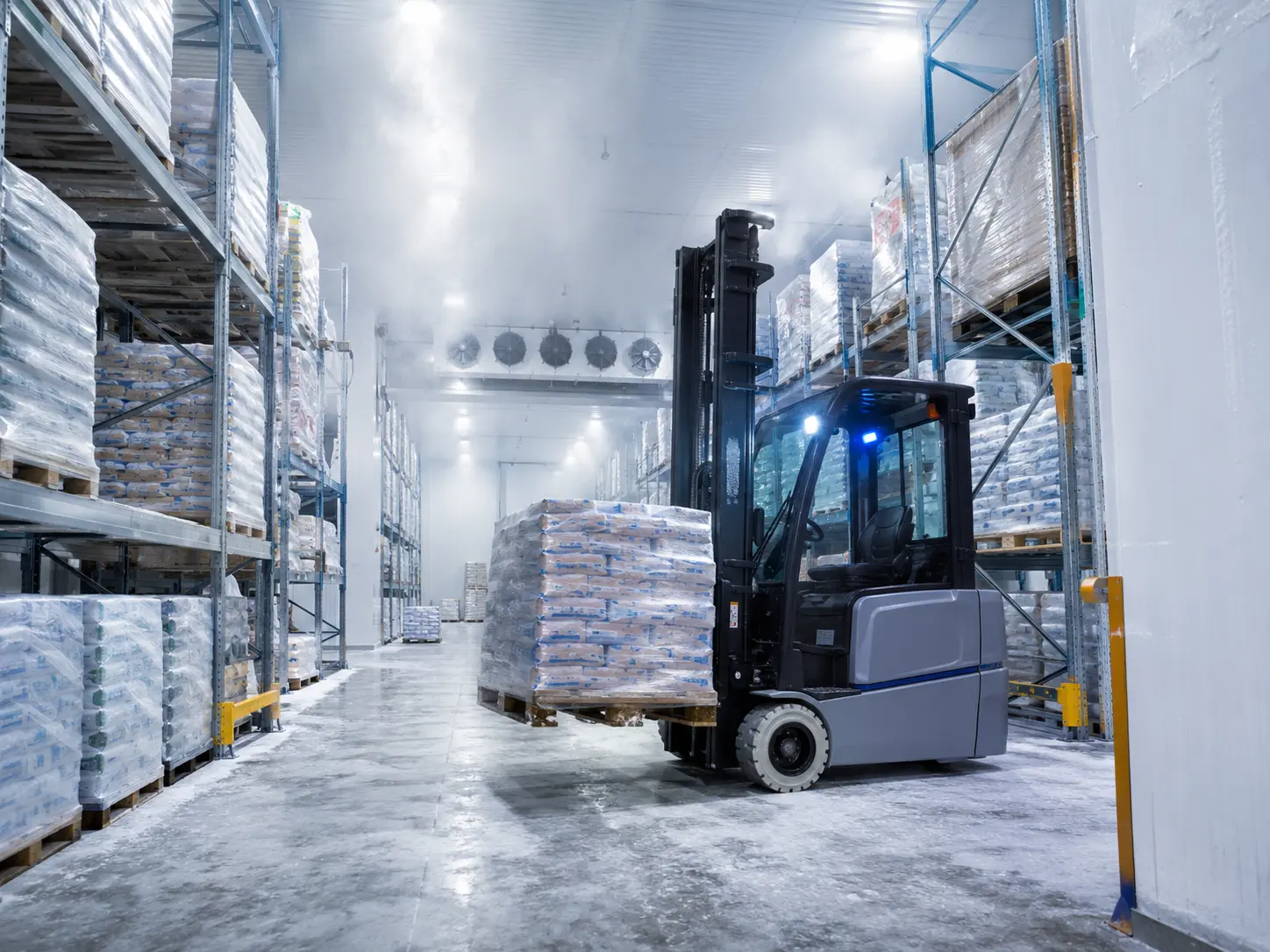 Engineered for the Freeze: Selecting Forklifts for Cold Storage Facilities